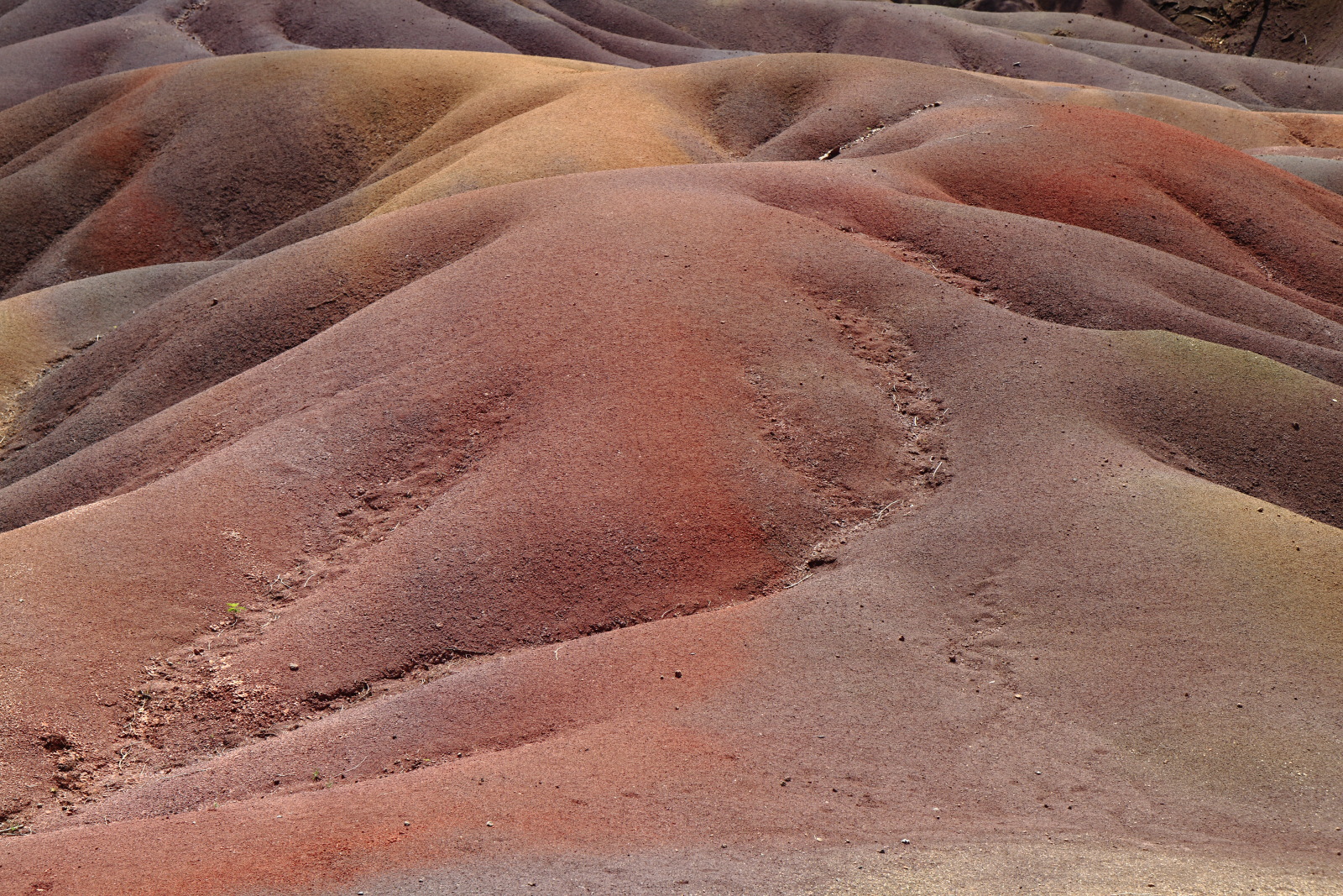 09.15 Mauritius  MG 6775