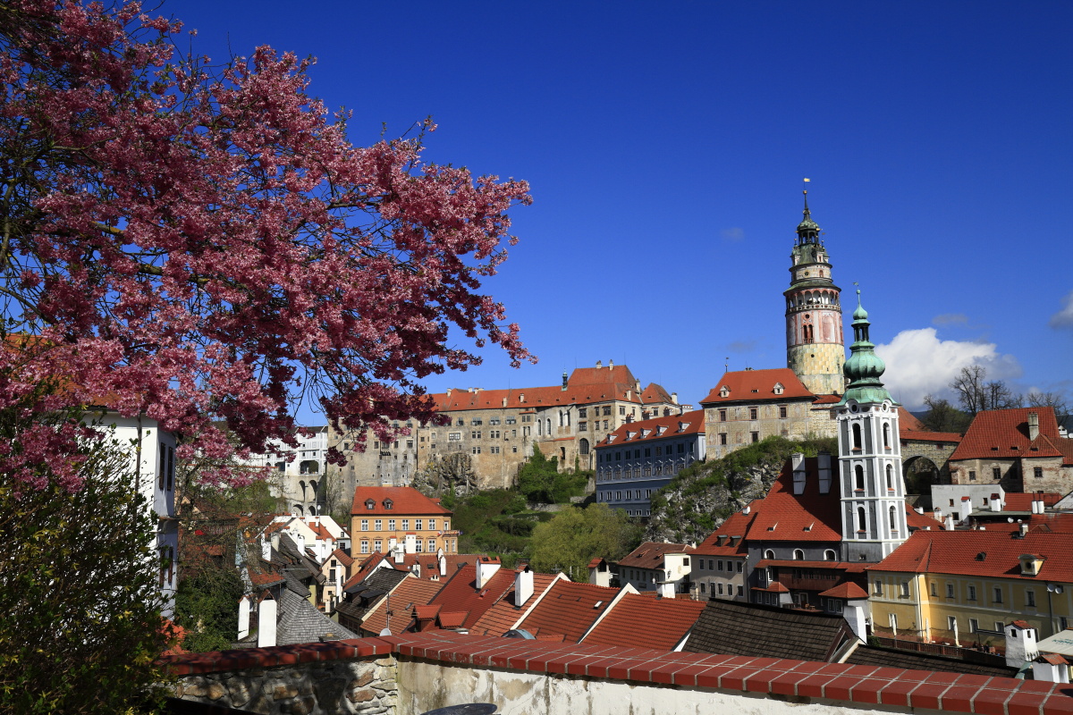 04.19 Südböhmen  MG 1808